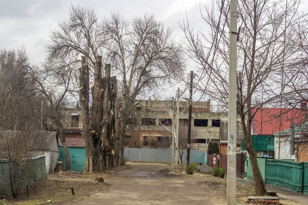 Тихорецк 2023 ( 23 фото )